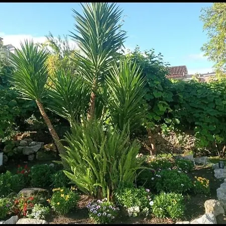 Apartman La Casa De La Avioneta