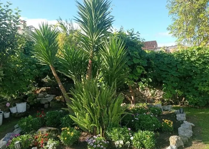 Apartmán La Casa De La Avioneta